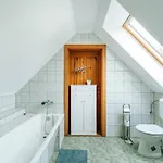 Buzavirág Keszthely