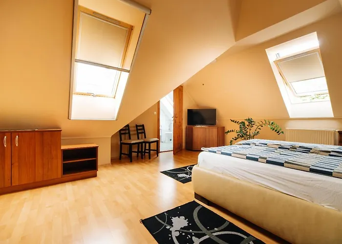 Apartment Buzavirag *